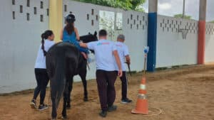 terapia com cavalos da policia militar transforma vidas